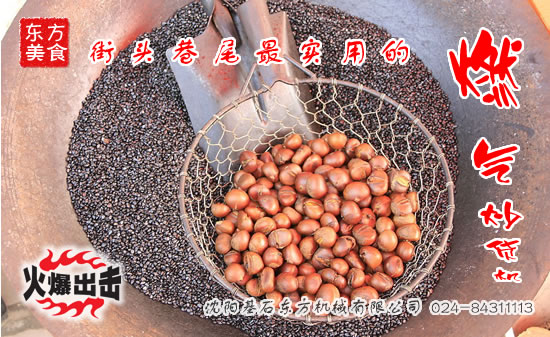 立式燃?xì)獬簇洐C1.jpg